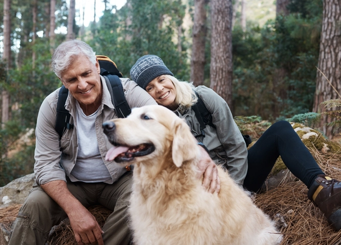 Herbsturlaub mit Hund in Kärnten