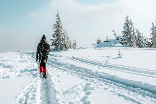 Winterwanderung beim Urlaub über Weihnachten in Bad Kleinkirchheim